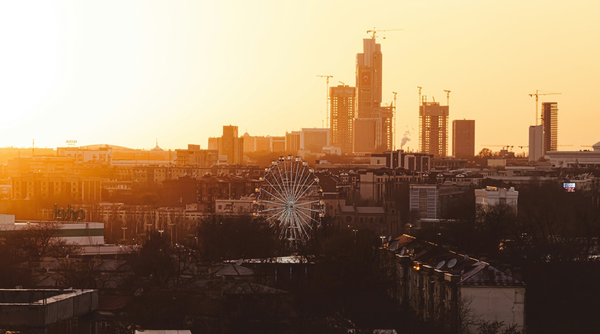 Young, urbanising and growing fast.